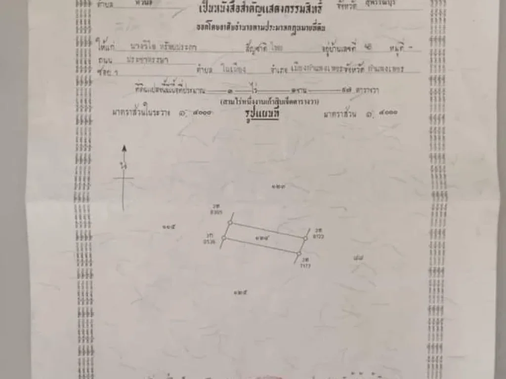 ขายด่วนพร้อมโอนที่ดินราคาถูกไร่ละ 120000 ที่ถมแล้วทำสวนได้