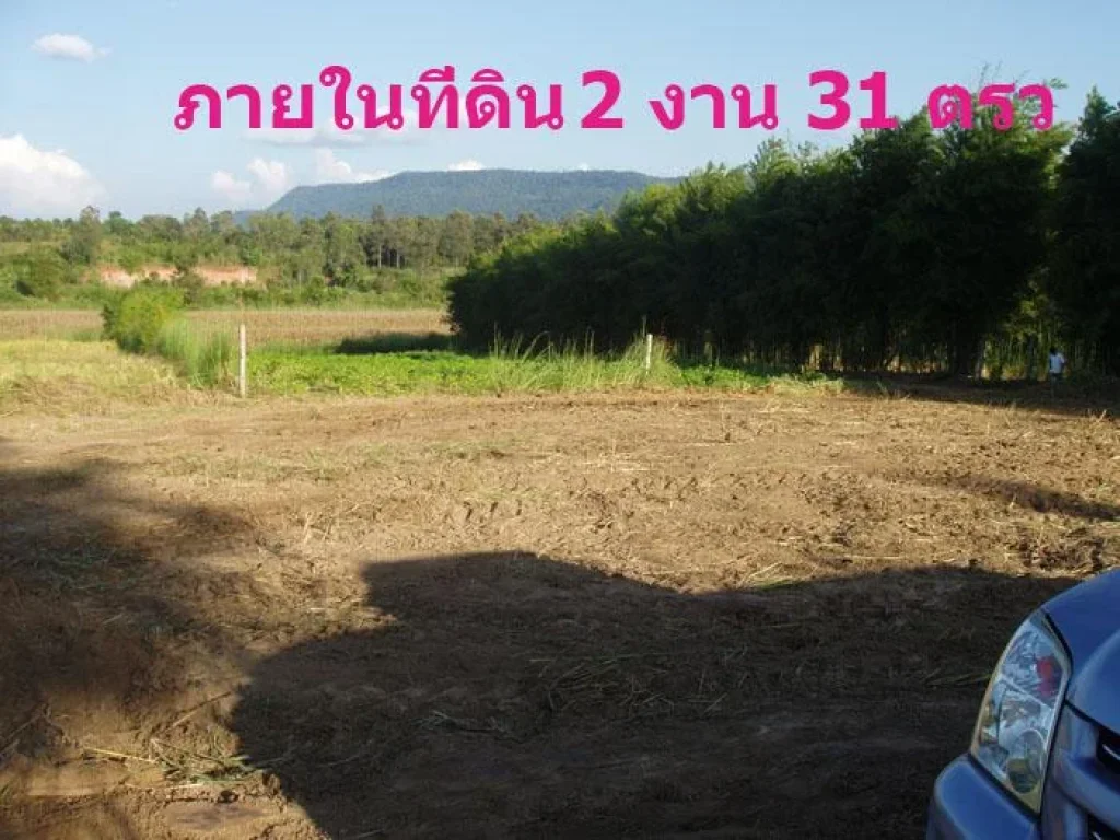 ขายที่เขตเทศบาล 2 งาน 31 ตรวเหมาะกับบ้านสวน 850000 ไฟน้ำสะดวก