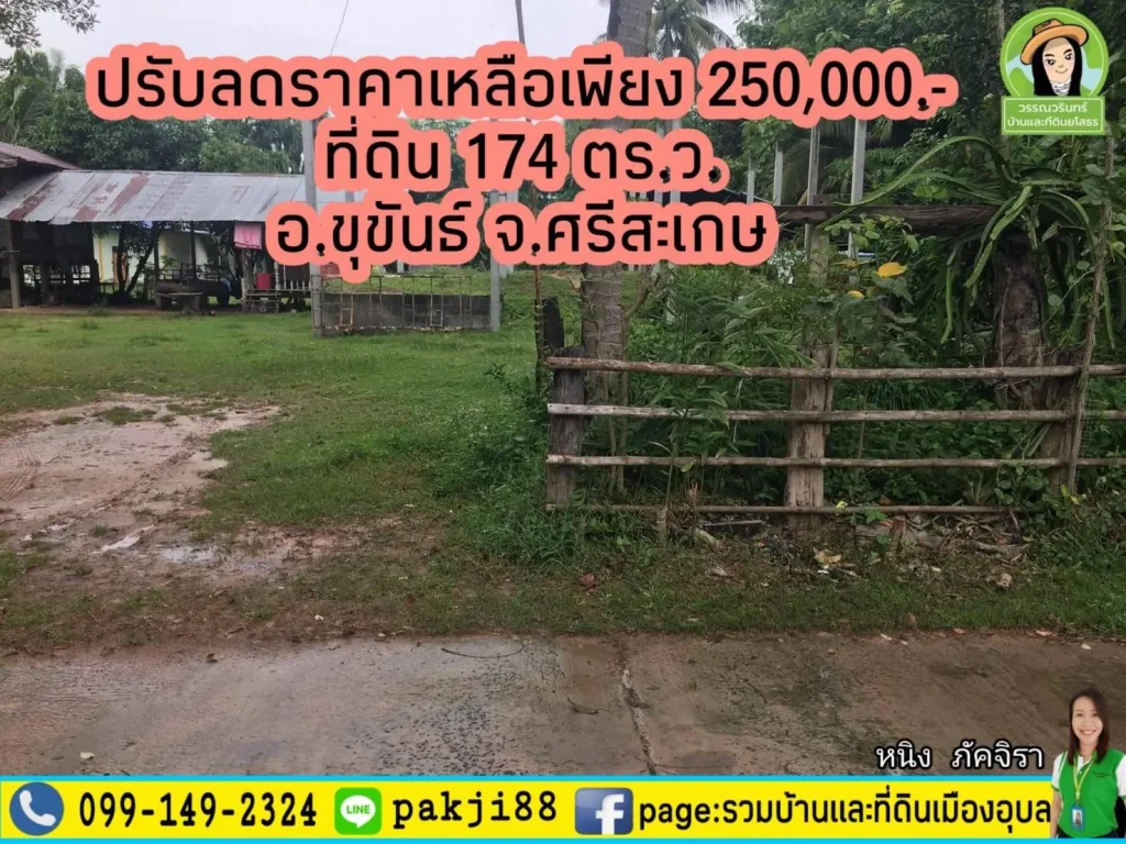 ที่ดินสร้างบ้าน 174 ตรว เพียง 250000 บาท อขุขันธ์ศรีสะเกษ