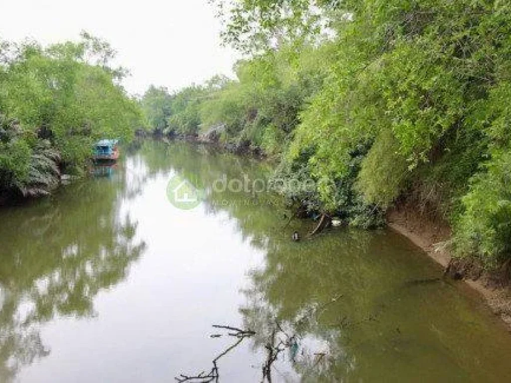  ขายที่ดินติดคลองใหญ่ วิวเขาชะเมา ติดลาดยางสายหลัก โฉนด 100 ไร่