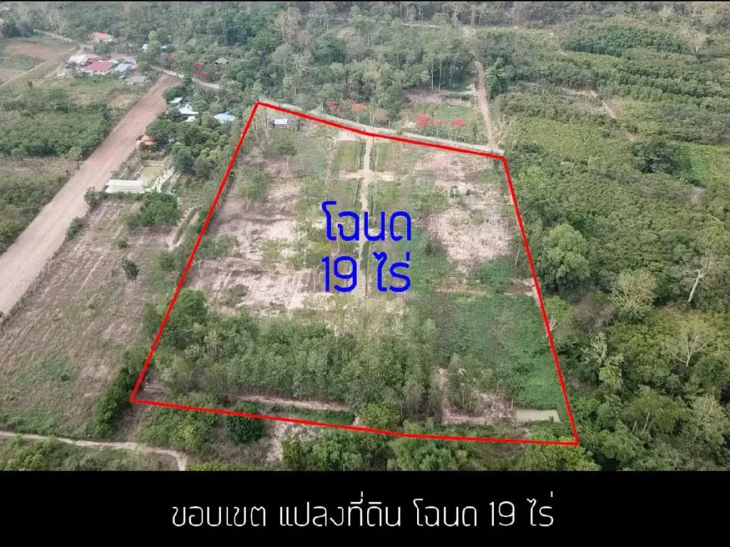 ที่ดิน 19 ไร่ วิวเขาใหญ่ เชิญชม vdo ภาพทางอากาศ ยาว2นาที