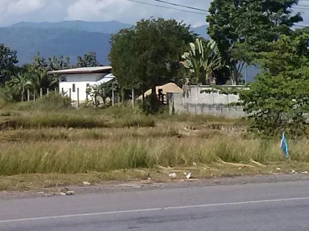 ให้เช่า ที่ขายก๋วยเต๊๋ยว กลางนา Cheap Land for Rent A Pan Chaing Rai On main Road