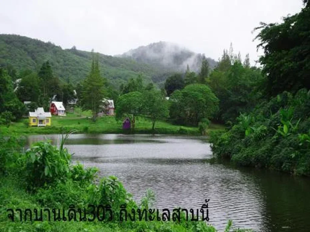 ขายด่วนบ้านพักตากอากาศระยองหรืออยู่อาศัยประจำบ้านสภาพดี