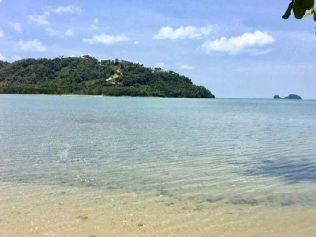 ขายที่ดินเกาะสมุยติดทะเลชายหาดส่วนตัว2ไร่94ตรว