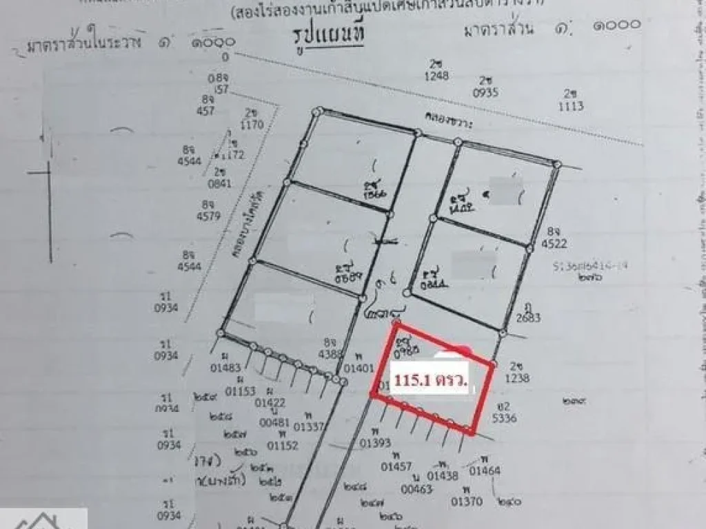 ขายที่ดินย่านพระราม3 พื้นที่สีน้ำตาล ย๙