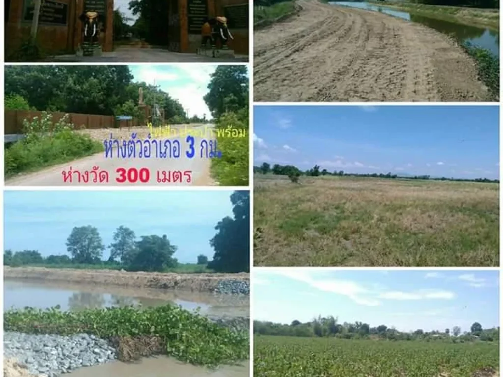 ที่ในฝัน 3 ไร่ๆละ 130000 โฉนด