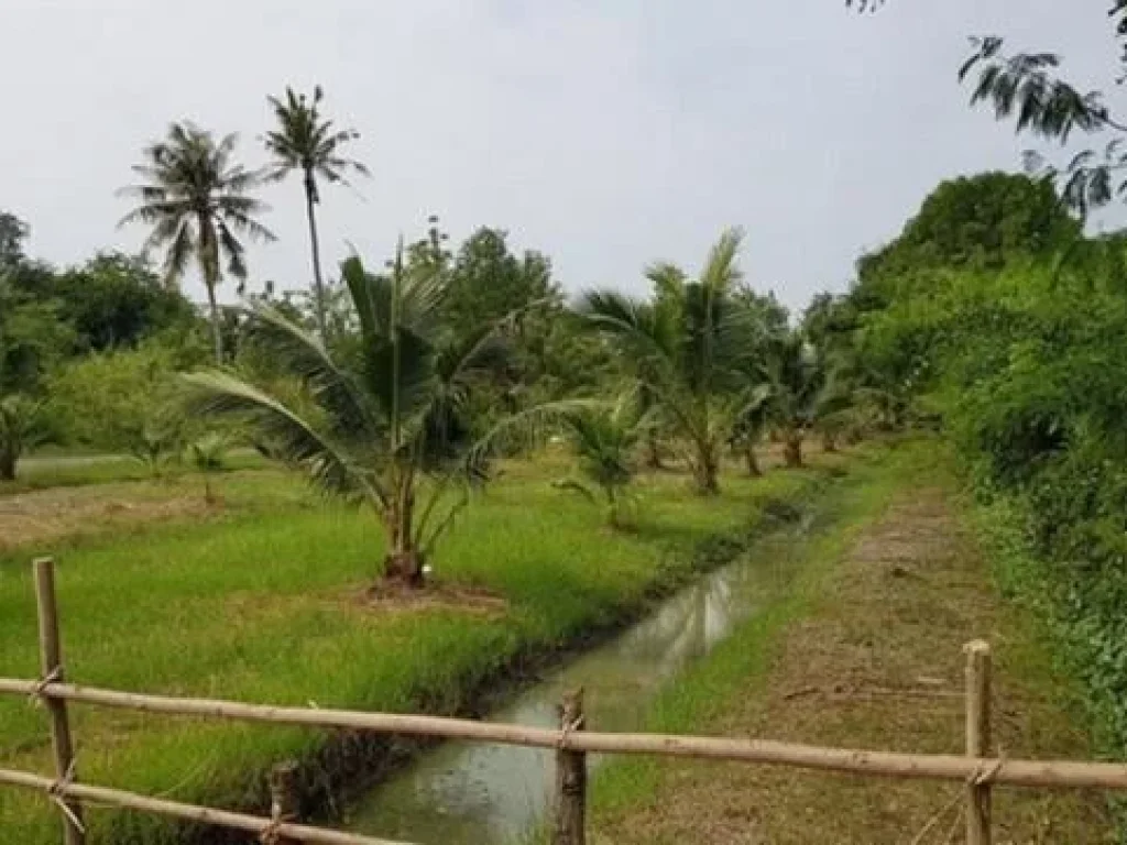 ขายที่ดินบ้านสวนอัมพวา จังหวัดสมุทรสงคราม