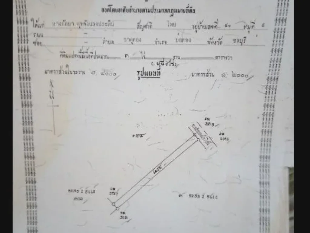 ขายบ้านเนื้อที่ 1 ไร่