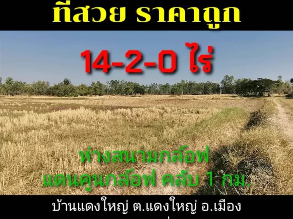 ขายที่ 14-2-0 ไร่