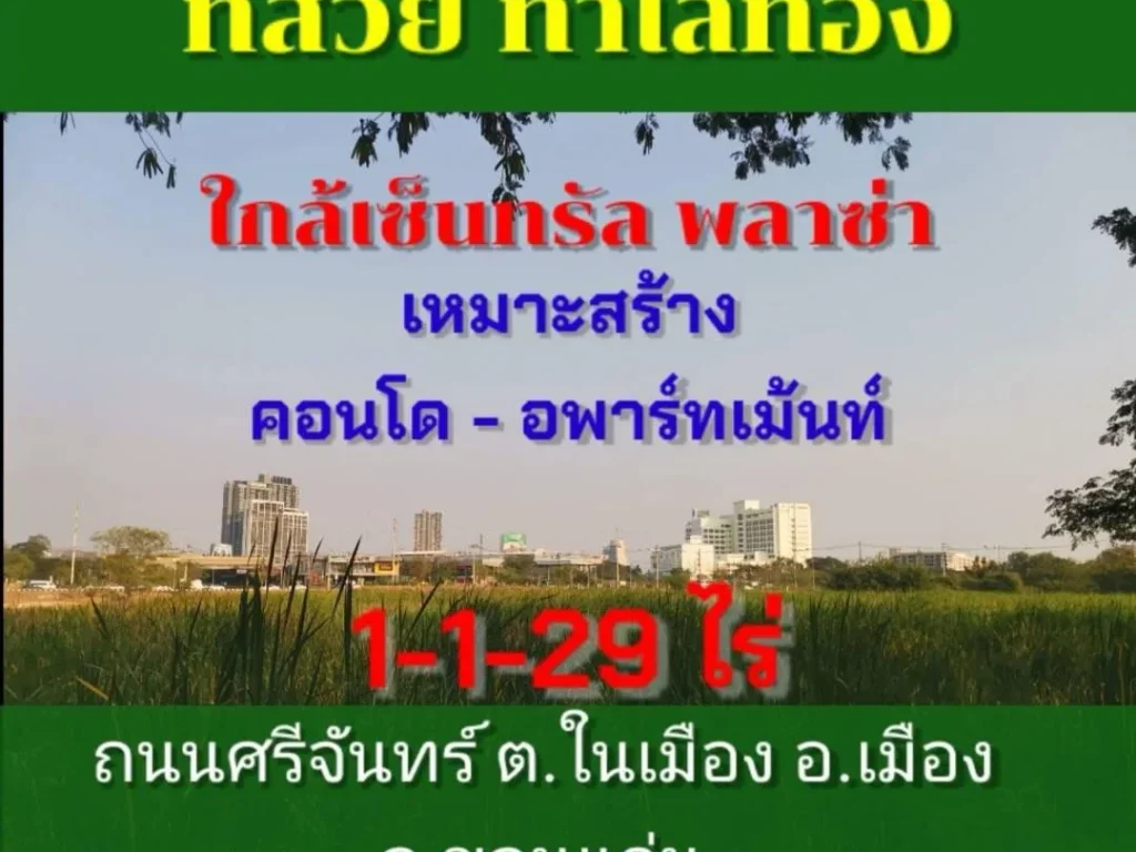 ขายที่ 1-1-29 ไร่