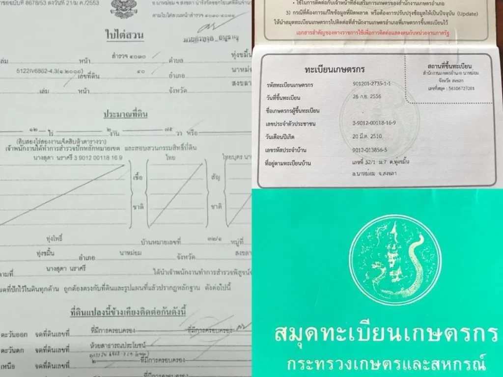 ขายที่ดินสวนยางอำเภอนาหม่อมตำบลทุ่งขมิ้นนส5 12 ไร่ 2 งาน 75ตารางวาขาย 14 ล้านบาท