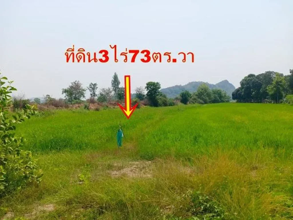 ขายที่ดิน3ไร่73ตรวา ติดคลองชลประทานใหญ่ ใกล้เขาสวนหลวง ตำบลเกาะพลับพลา อำเภอเมืองราชบุรี เหมาะทำการเกษตรพอเพียง 13ล้าน