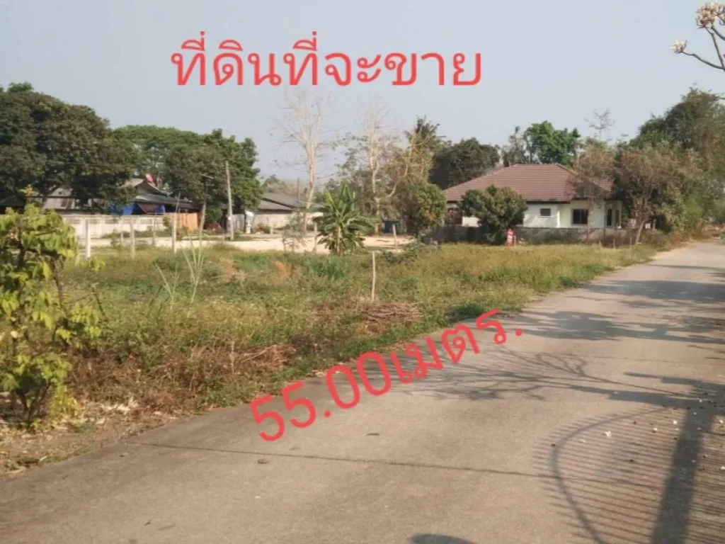 ฿ขายที่ดิน208ตรวอยู่ในโครงการจัดสรรบ้านหนองแหย่ง อสันทราย สาธารณูปโภคครบquotเหมาะซื้อใว้สร้างบ้านขายquotถูกๆ