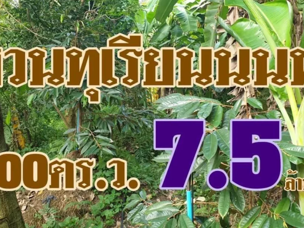 สวนทุเรียนนท์ ตำบลไทรม้า