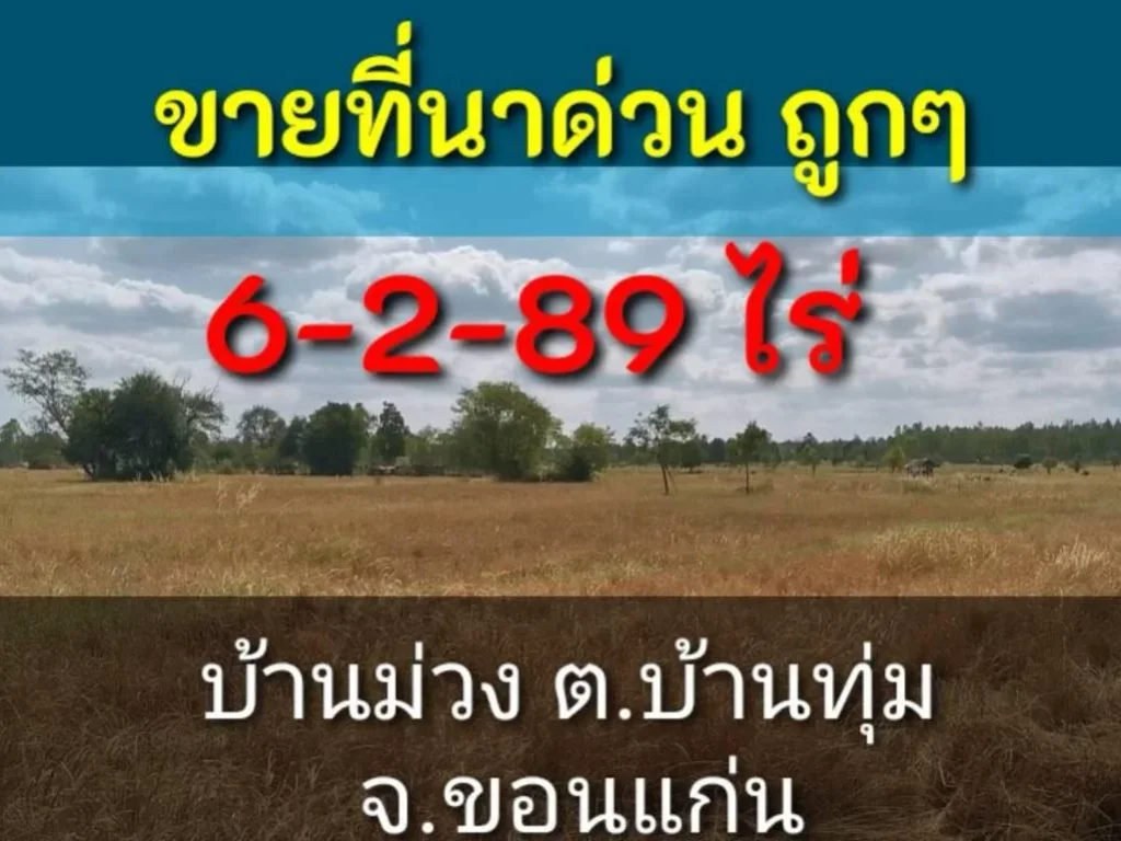 ขายถูกที่สุดด่วน 6-2-89ไร่