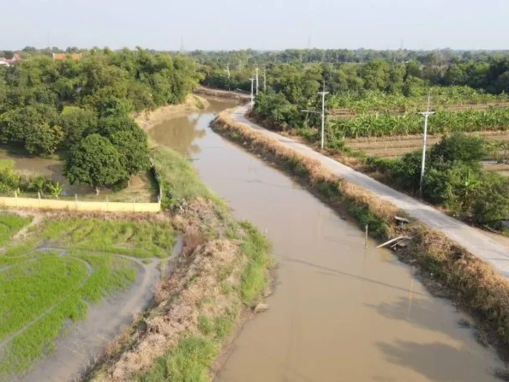 ที่ดินหนองแค สระบุรี ไร่ละ 980000 บาท4 ไร่ 3920000 บาท