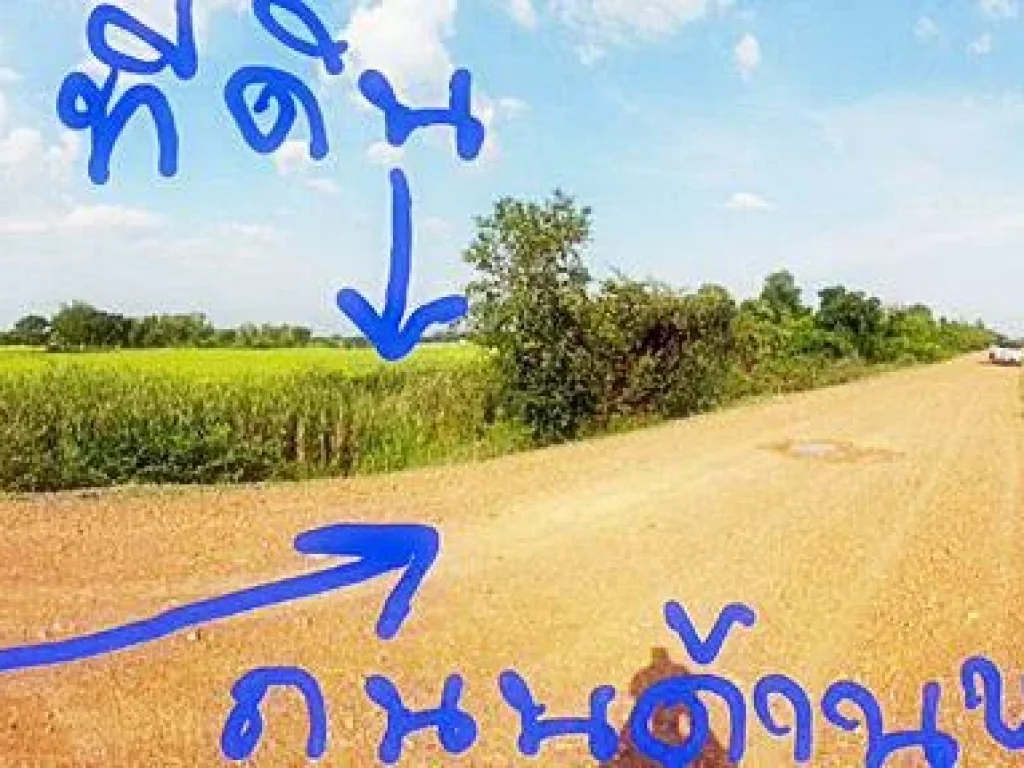 ขายที่ดิน พื้นที่ 16-2-10 ไร่ อปากท่อ จราชบุรี