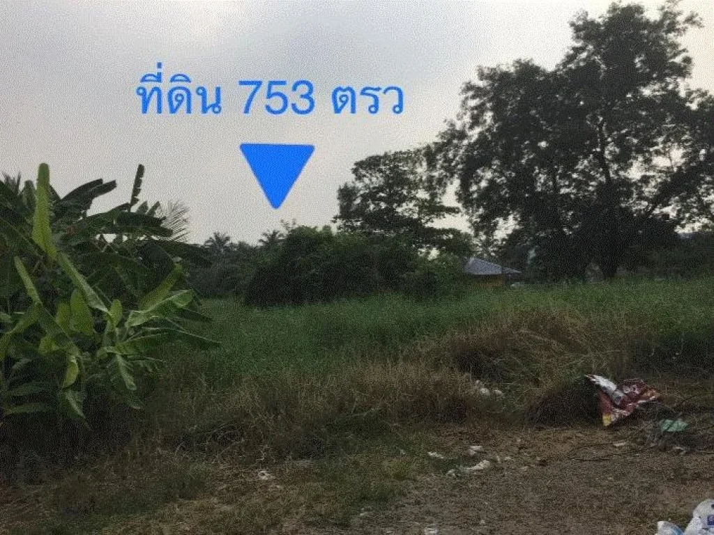 ขายที่ดิน 753 ตรวทำเลสวยใกล้วัดไร่ขิง