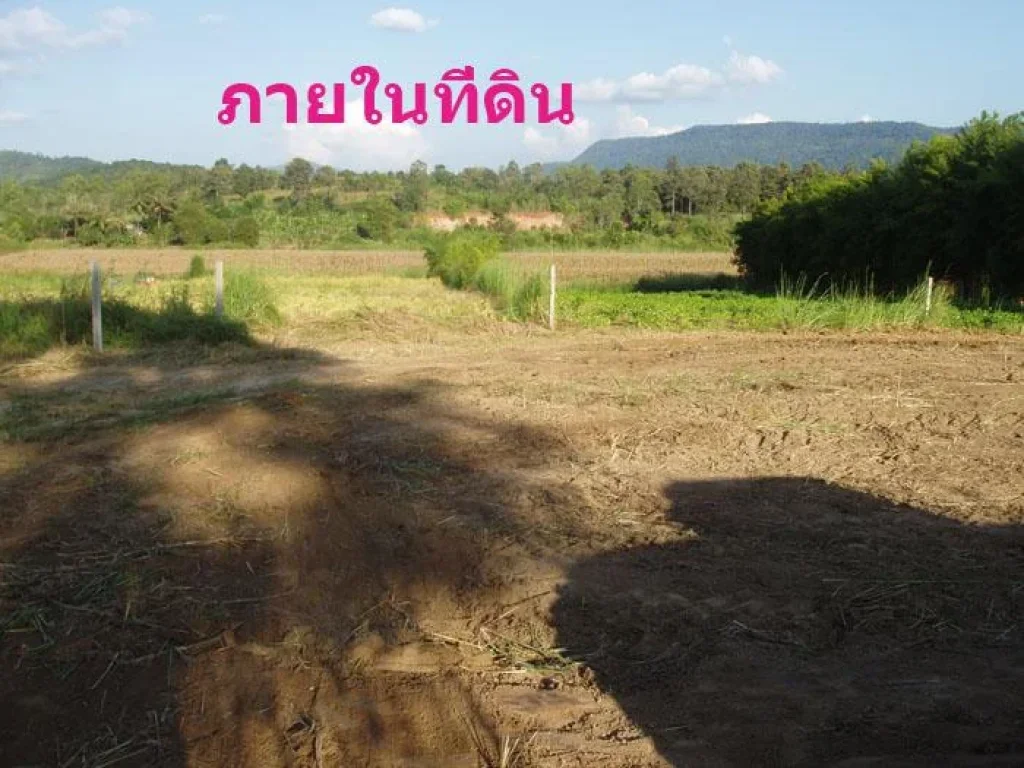 ขายที่ดิน 2 งาน 31 ตรว ห่างทางหลวง 300 ม เหมาะกับบ้านสวน ที่พัก