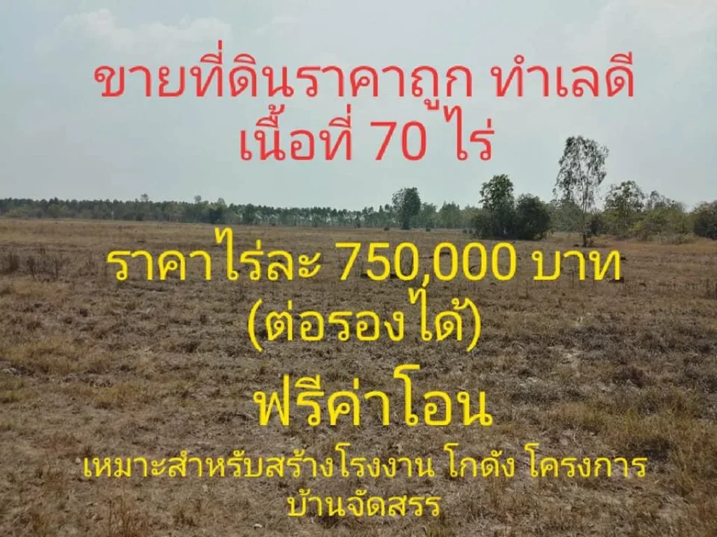 ขายที่ดินเปล่าใกล้ถนนสาย33 สุวรรณศร กบินทร์บุรี-สระแก้ว เนื้อที่ 70ไร่ ทำเลสวย ตบ่อทอง อกบินทร์บุรี จปราจีนบุรี