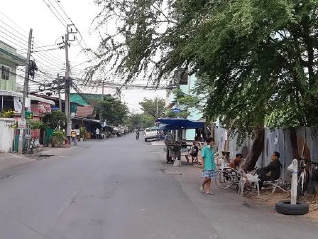 ขายที่ดินถนนพรานนก-พุทธมณฑลสาย 4 173 ตรว