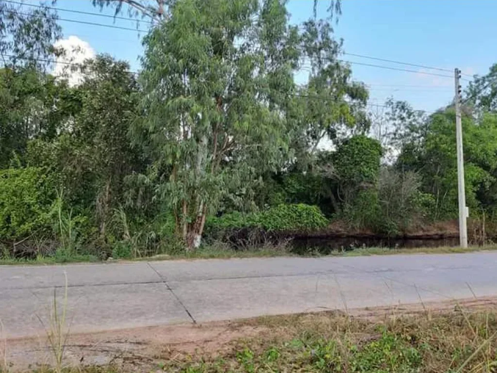 ขายที่ดินทำเลทองติดถนนลาดยาง ใกล้สุขุมวิท 4-2-03ไร่ ตตะพง อเมือง จระยอง