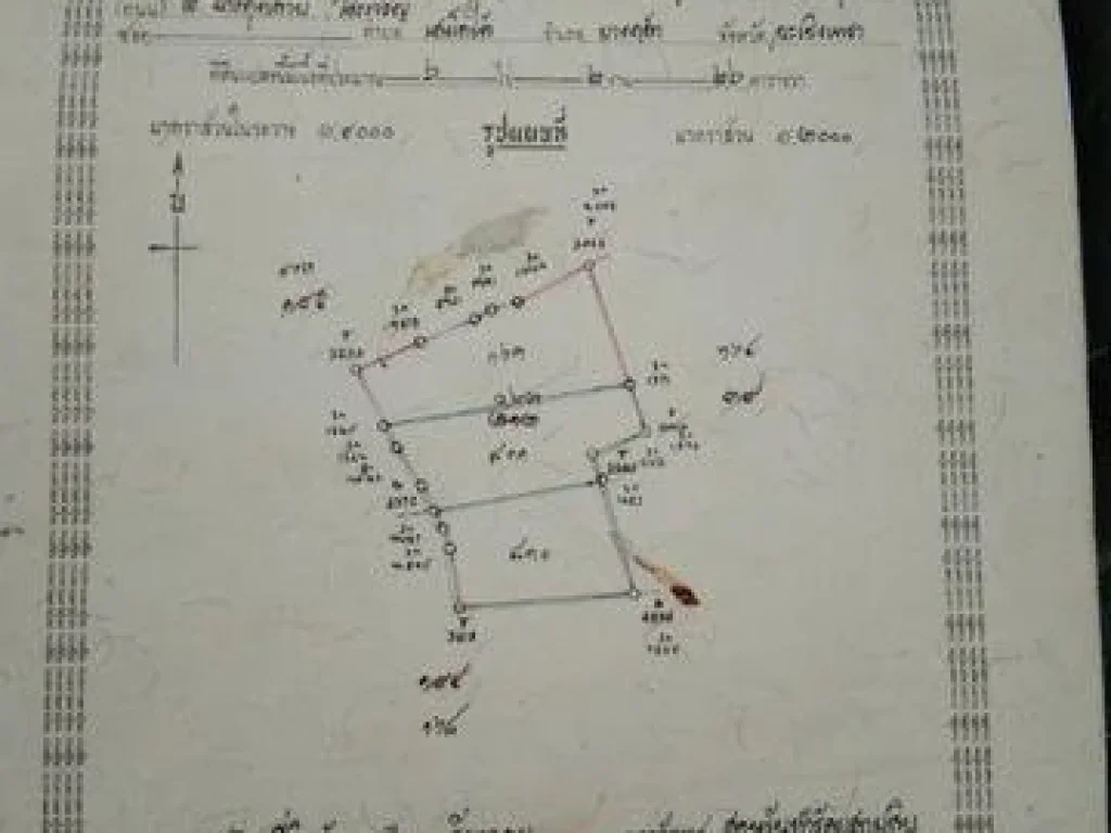 ขายที่บ่อกุ้ง แปลงใหญ่ 13-1-46