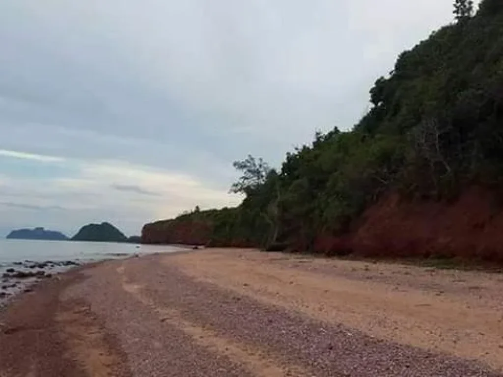 ขายถูกที่ดินดีดี บางสะพานน้อย จ ประจวบคีรีขันธ์