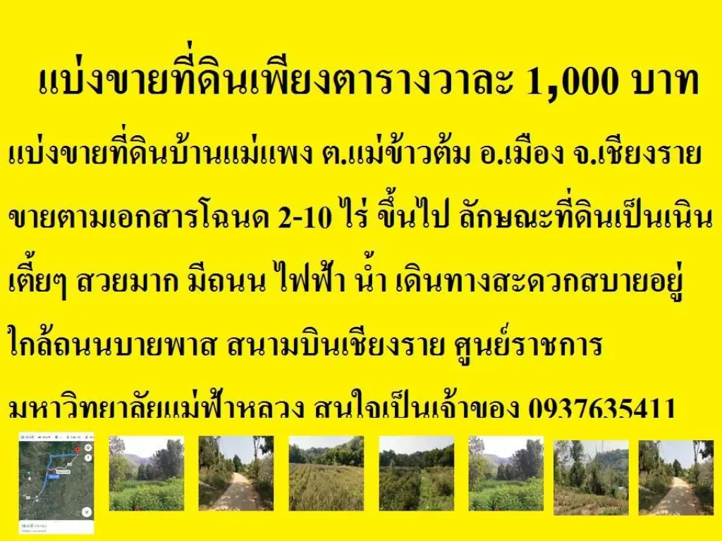 แบ่งขายที่ดินตารางวาละ 1000 บาท