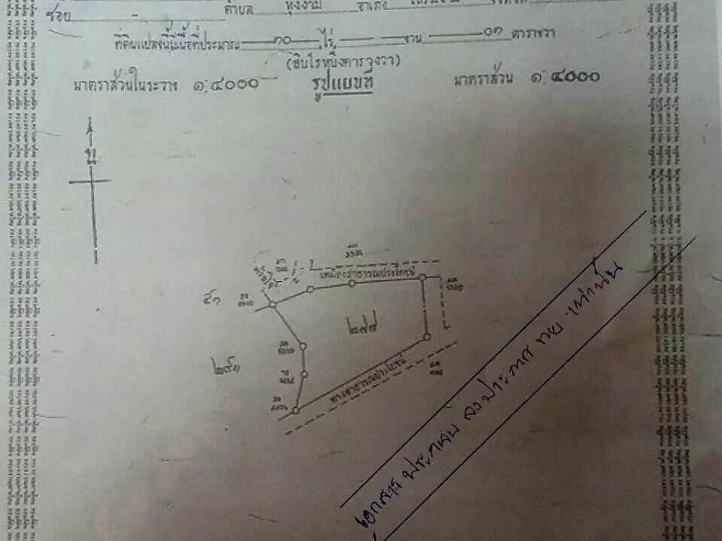 ขายด่วนที่ดิน 10 ไร่พร้อมโอน