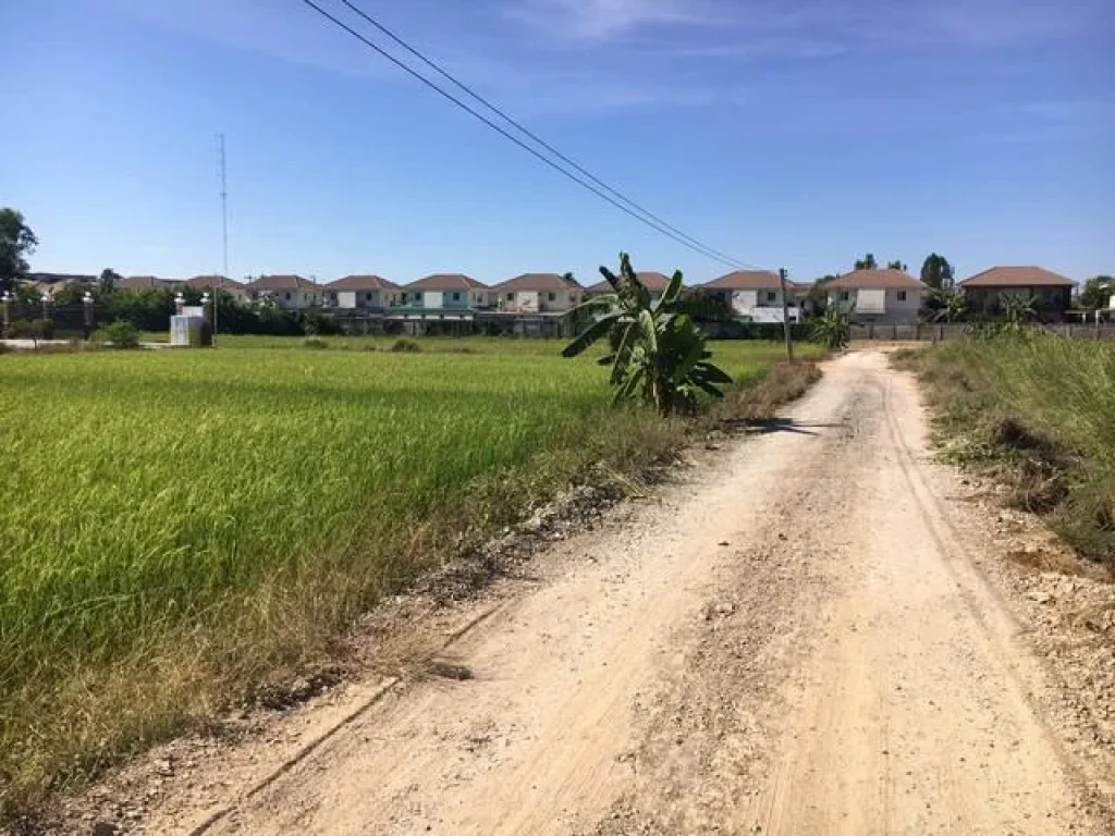 ขาย ที่ดิน 300 ตรว ถนนพุทธมณฑลสาย 5 แปลงสี่เหลี่ยม