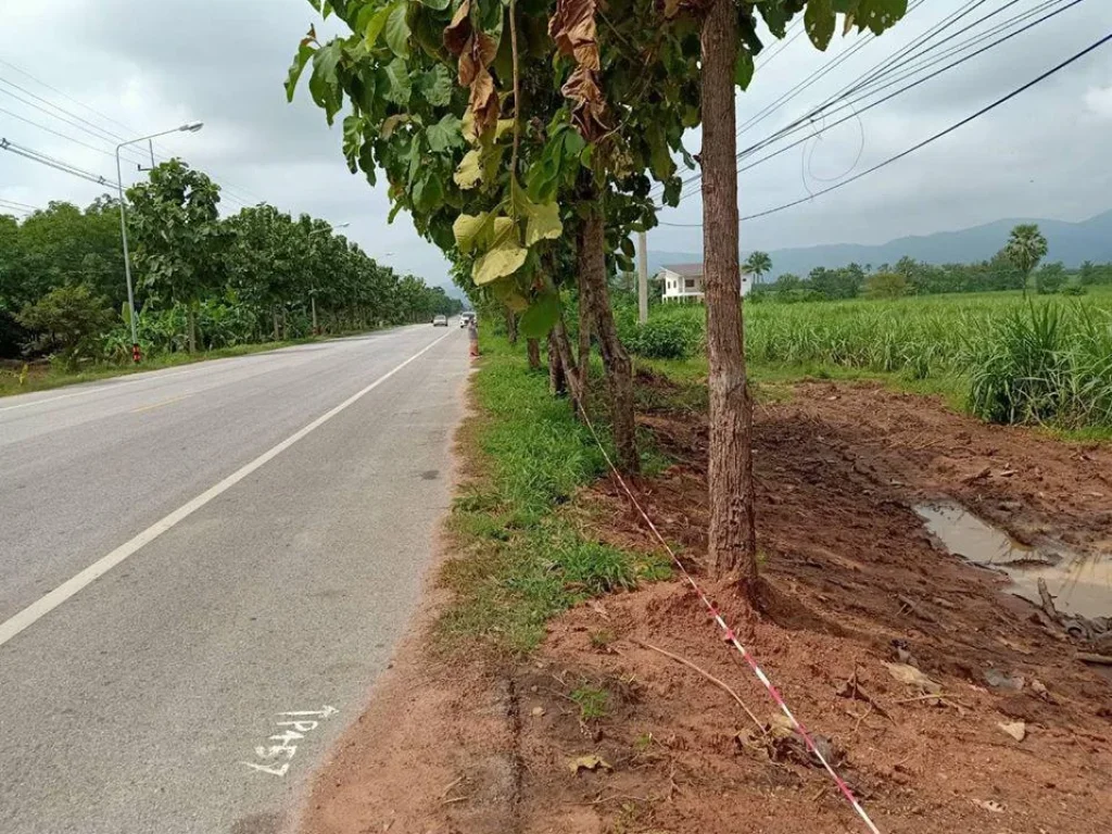 ที่ดินโฉนด 10ไร่ ติดถนนสาย 333 บ้านไร่ - อุทัย ขายเหมา 4ล้านถ้วน