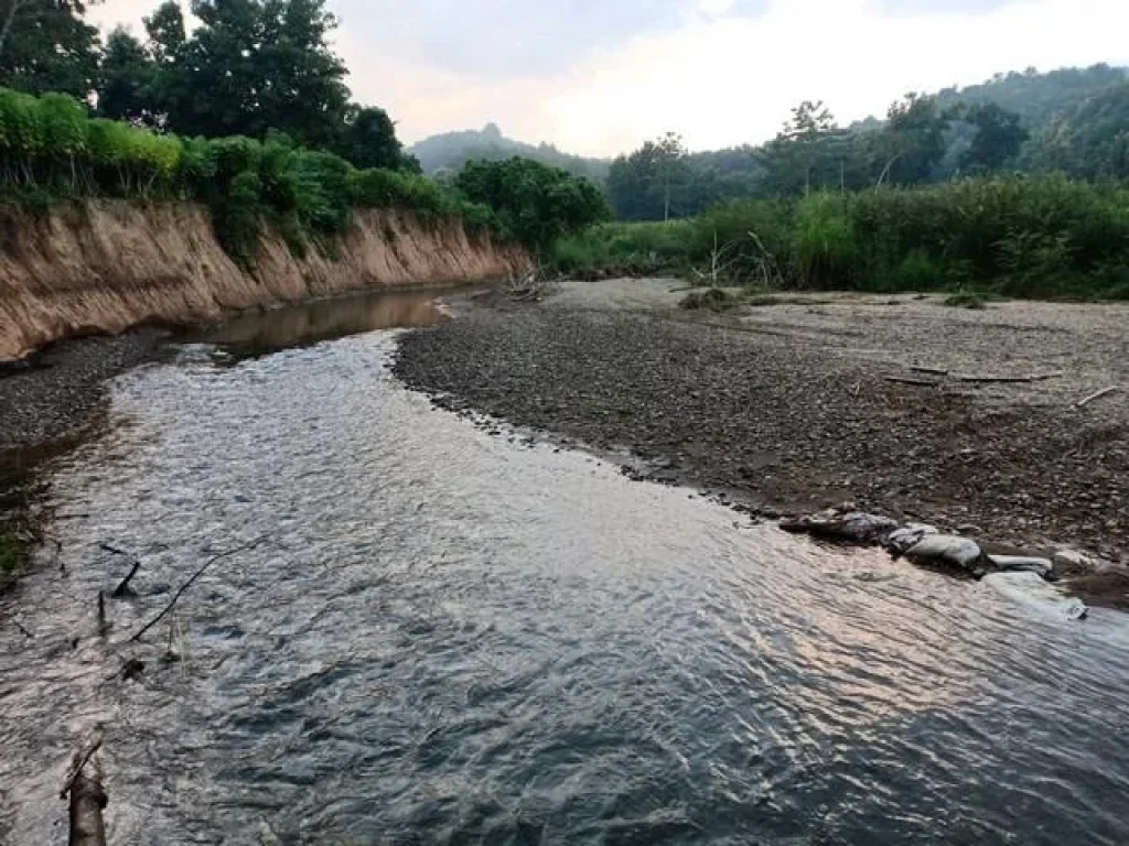 ขายที่ดินสวย อยู่ ติดลำ น้ำมวบ อสันติสุข จน่าน