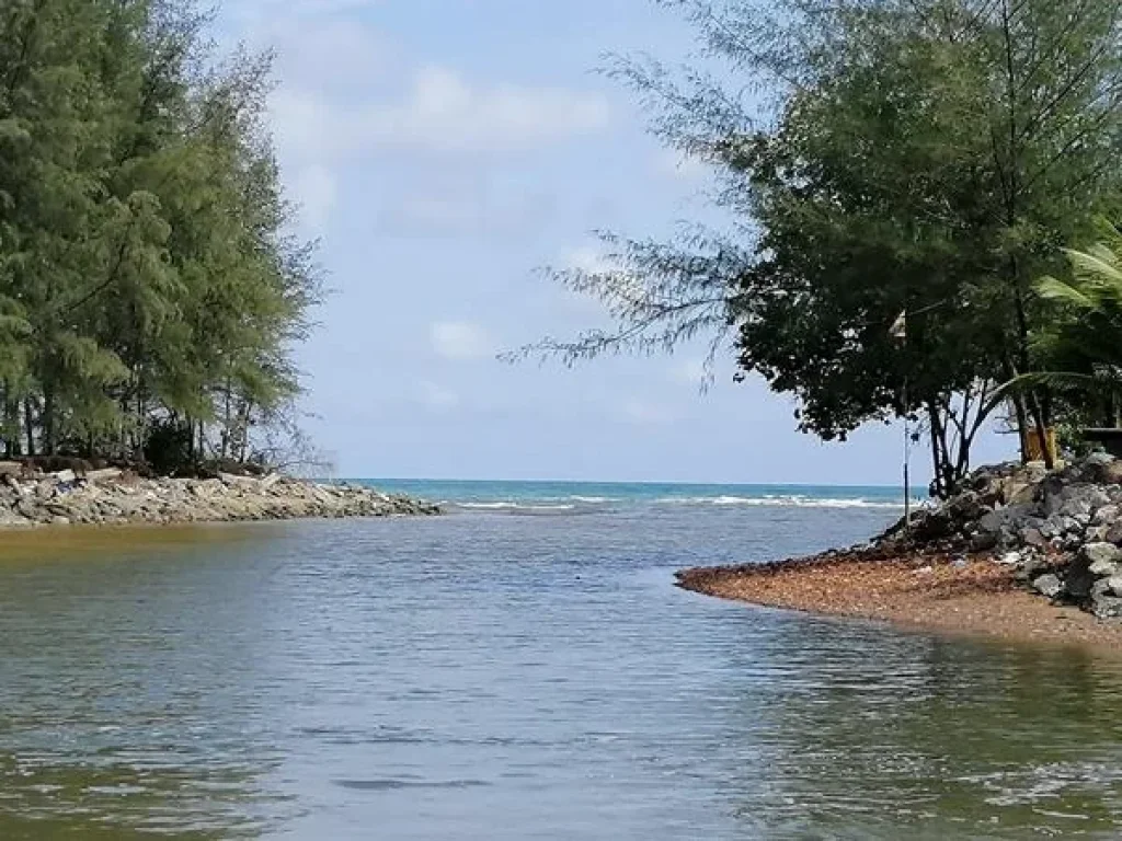 ที่ดินบรรยากาศดี ริมคลองใหญ่ ติดทะเล ข้ามคลอง ลงชายหาดแม่พิมพ์ โฉนด 343 ตารางวา เล่นเรือออกทะเลได้