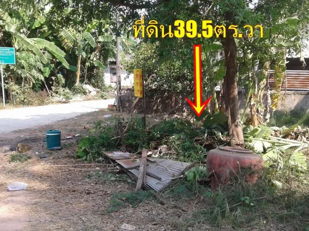 ขายที่ดิน395ตรวา ในซอยข้างวัดห้วยท่าช้าง ถนนราชบุรีดอนแจ้ง สี่แยกห้วยชินสีห์ ที่ดินสวยเหมาะปลูกบ้าน อยู่อาศัย150000