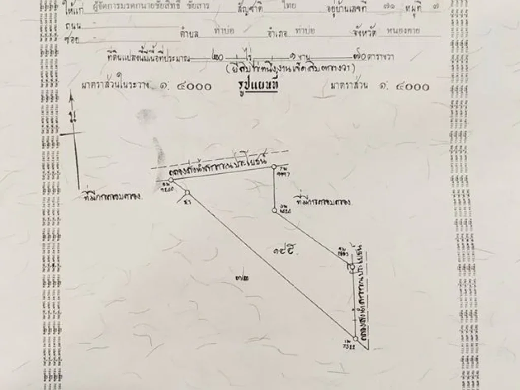 ขายที่ดิน 20 ไร่ อำเภอท่าบ่อ จังหวัดหนองคาย