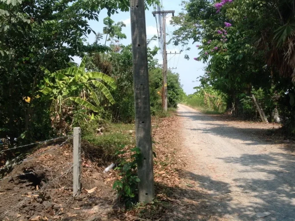 ขาย ที่ดิน คลอง 12 ถนนรังสิต-นครนายก อหนองเสือ จปทุมธานี