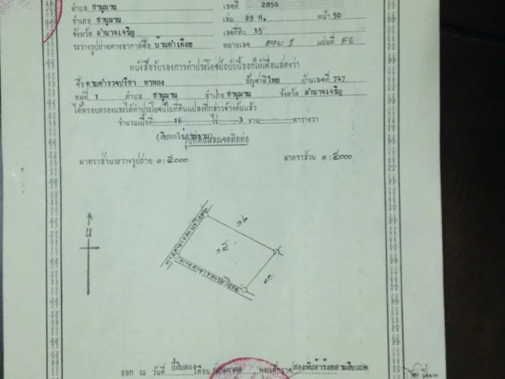 ขายที่ดินอชานุมาน จอำนาจเจริญ 48 ไร่