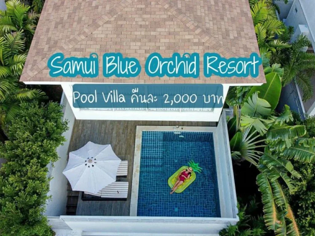 Samui Blue Orchid Special Promotion for monthly stay