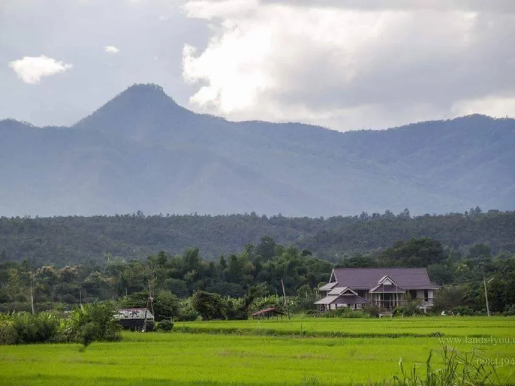 ขายที่ดินวิวดอย เขตน้ำบ่อหลวง สันป่าตอง เชียงใหม่