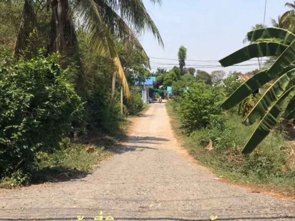 ขายที่ดิน ซอยวัดไก่ อบตหันสัง บางปะหัน พระนครศรีอยุธยา 93 ตรว ถูกมาก ผ่อนไม่เสียดอกเบี้ย