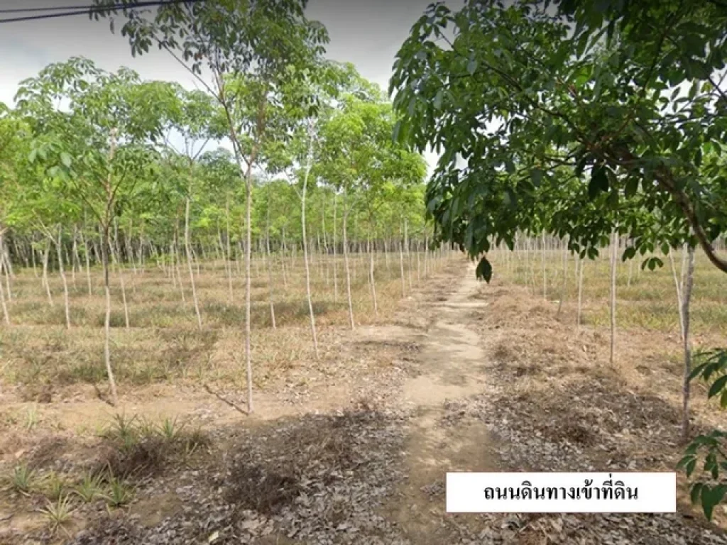 ขายที่ดิน 25ไร่ ซธัญญะปุระ ตะเคียน ภูเก็ต ใกล้รรนานาชาติ