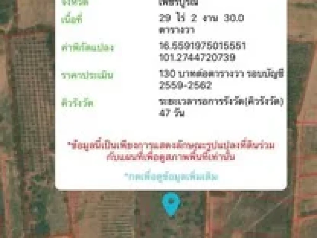 ขายที่ดินแปลง 64 ใร่ แบ่งขายหรือซื้อยกแปลง ตช้างตะลูด อหล่มสัก จเพชรบูรณ์