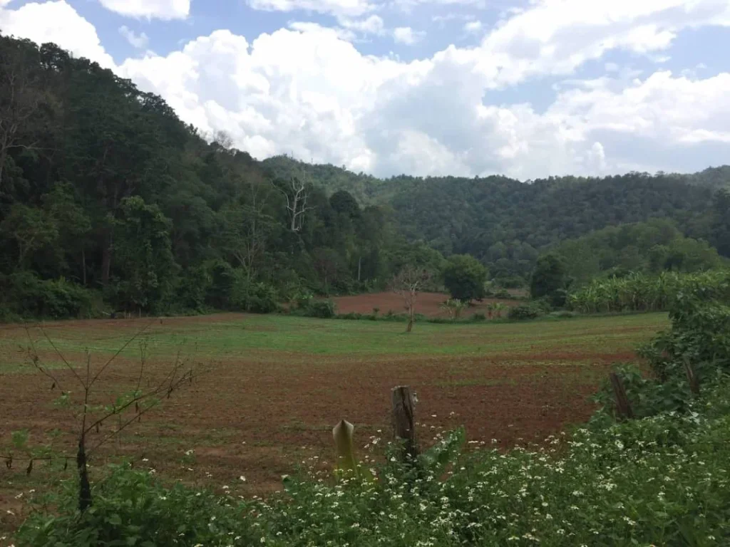 ขายที่ดินสะเมิงเหนือ วิวดอย ติดถนนคอนกรีต เชียงใหม่