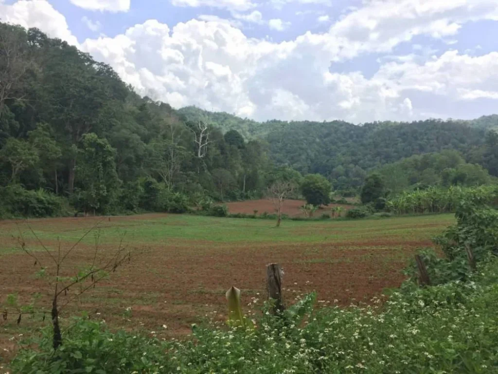 ขายที่ดินสะเมิงเหนือ วิวดอย ติดถนนคอนกรีต เชียงใหม่