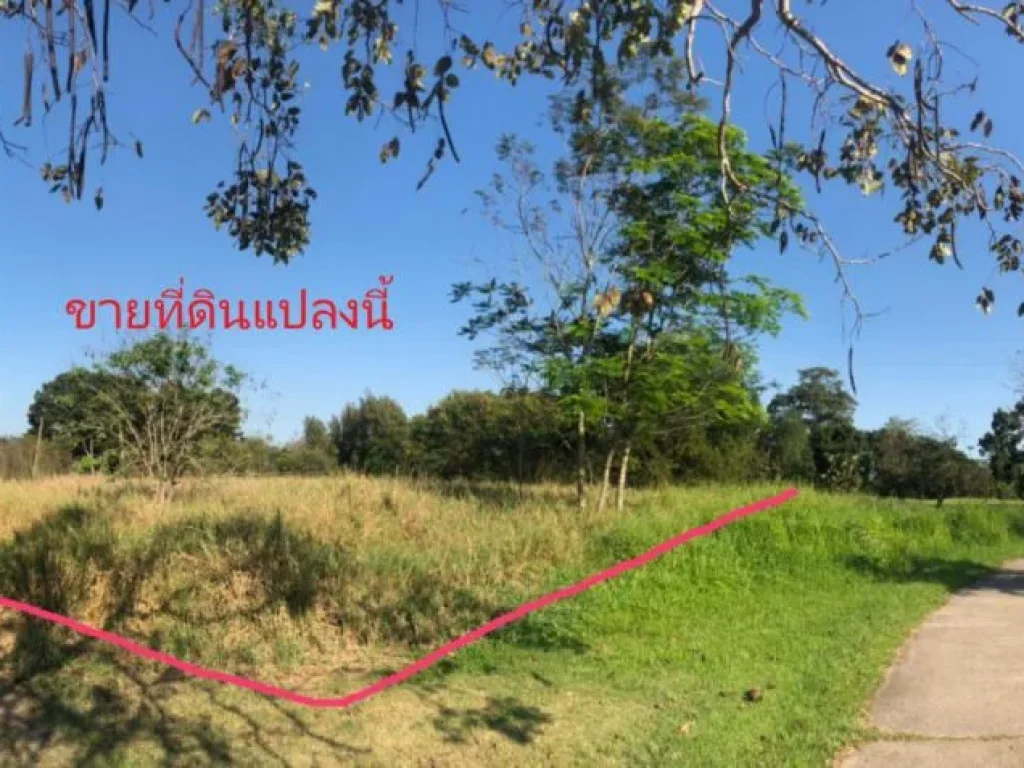 ขายที่ดิน บางกระเบา-นครปฐม