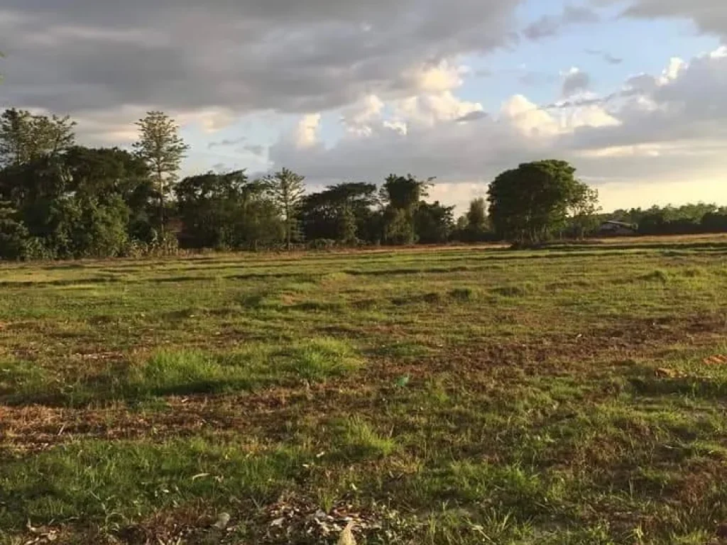 ขายที่ดินในหมู่บ้านกอง น้ำแพร่ เชียงใหม่