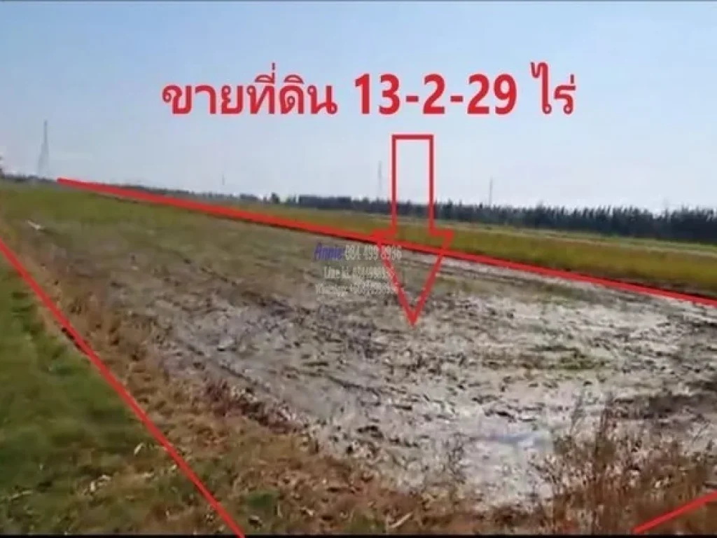 ขายที่ดิน 13-2-29 ไร่ สายบางบัวทอง-สุพรรณบุรี ทล 340 จพระนครศรีอยุธยา