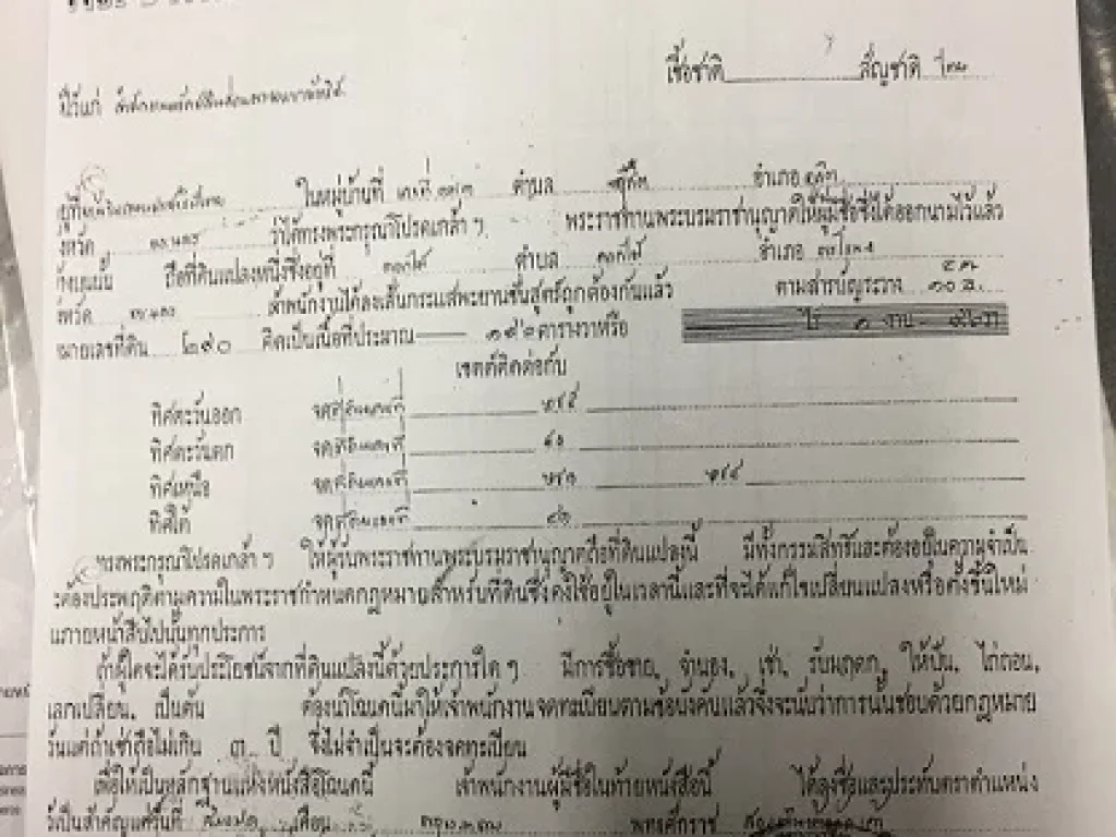 ขายที่ดินแปลงงาม 195 และ196 ตารางวา ในซอยเฉลิมพระเกียรติ 30 แยก 7