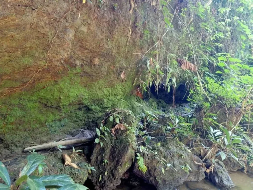 ขายที่ดินติดธารน้ำไหล แม่นะ เชียงดาว เชียงใหม่